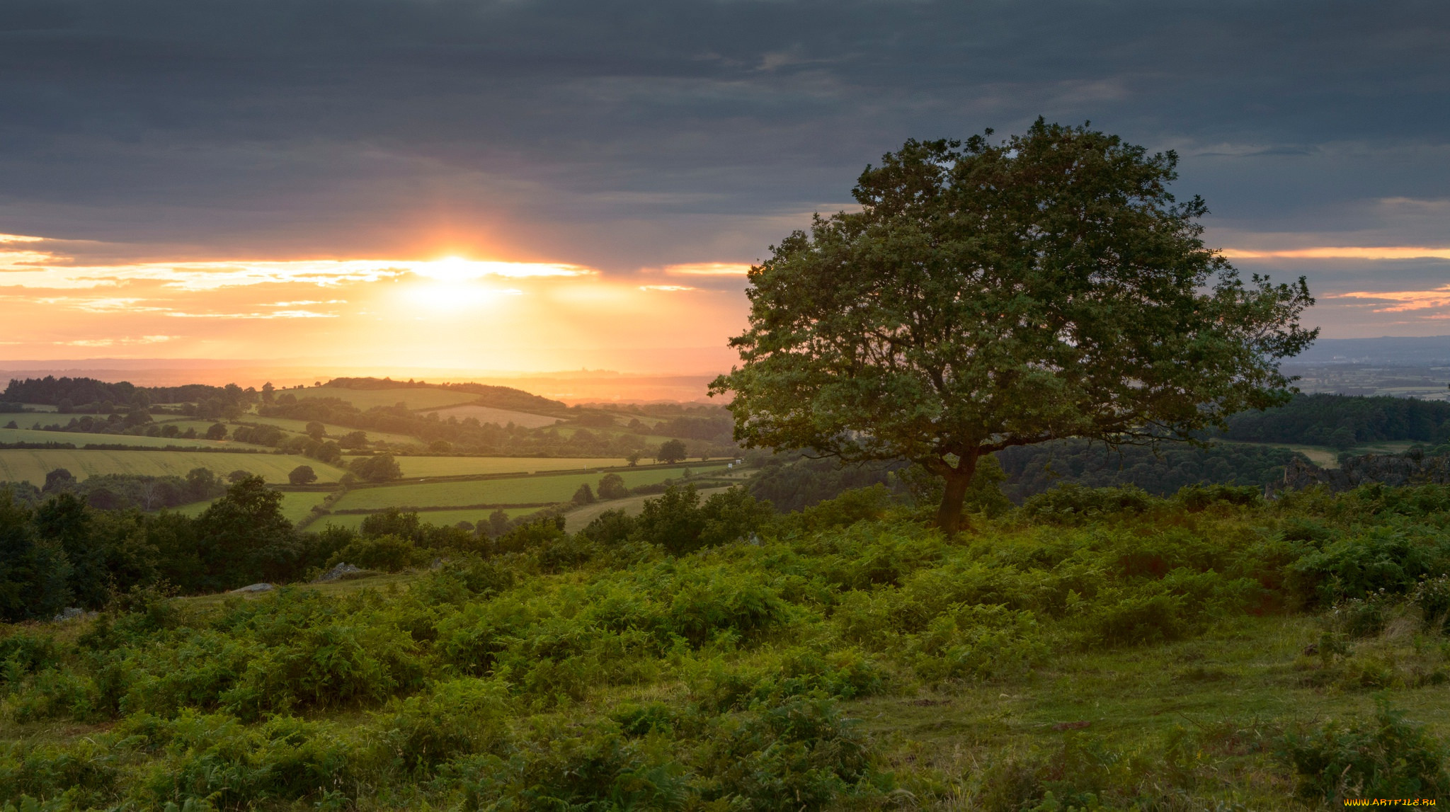 , , , leicestershire, charnwood, forest, beacon, hill, country, park, , england, , , 
